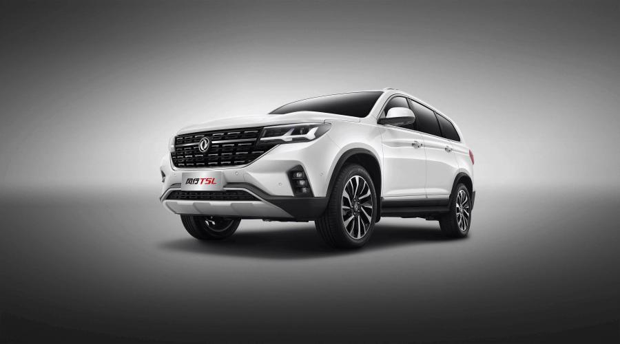  DongFeng Forthing T5L 2019 года  (фото 23 из 23)